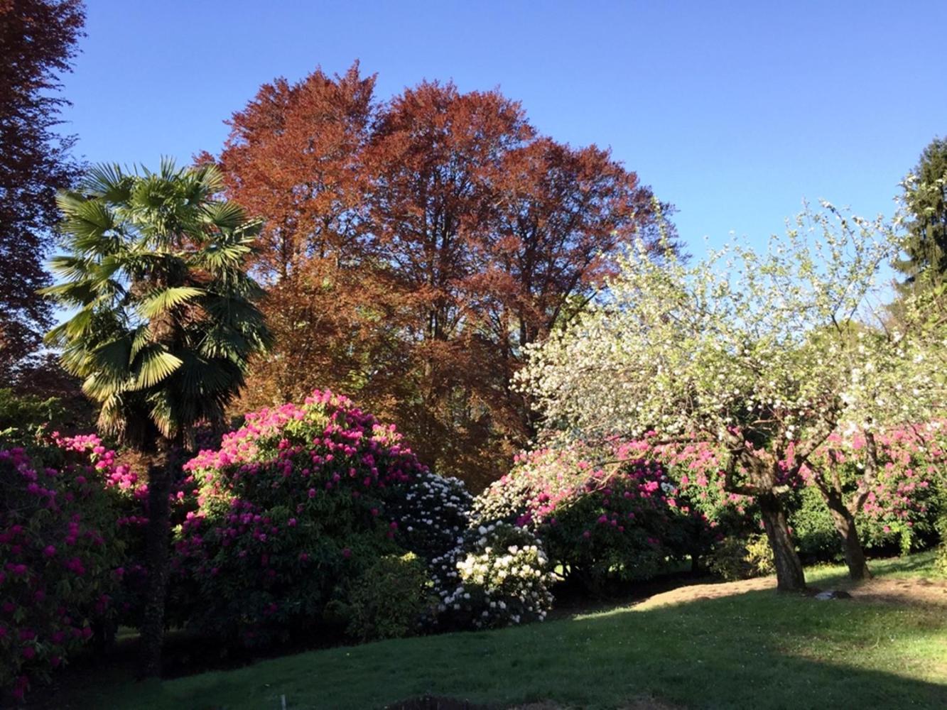 Cissano Corte Villa Donati מראה חיצוני תמונה